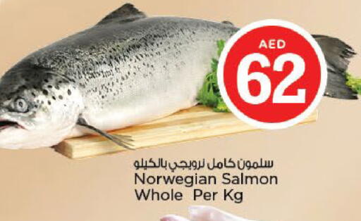 available at نستو هايبرماركت in الإمارات العربية المتحدة , الامارات - أبو ظبي