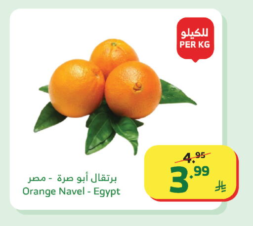 Orange from Egypt available at Al Raya in KSA, Saudi Arabia, Saudi - Bishah