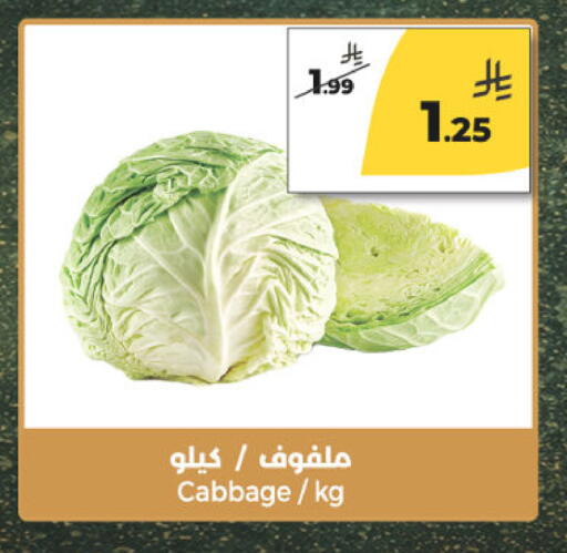 Cabbage available at  دانة طازج يوميا in مملكة العربية السعودية, السعودية, سعودية - الرياض