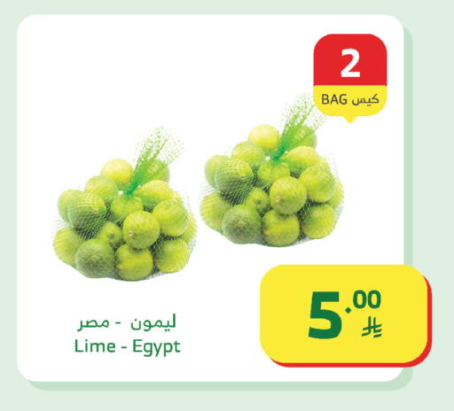 from Egypt available at Al Raya in KSA, Saudi Arabia, Saudi - Bishah