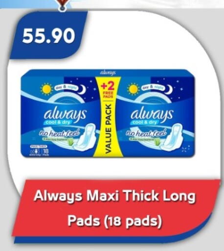 available at Bassem Market in Egypt - Cairo