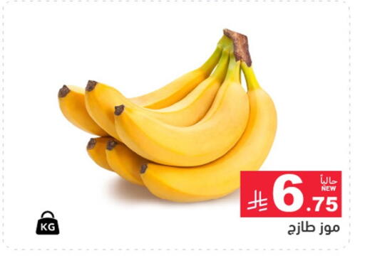 available at أسواق رامز in مملكة العربية السعودية, السعودية, سعودية - تبوك