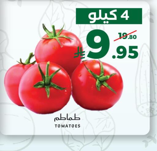 Tomato available at ميرا مارت مول in مملكة العربية السعودية, السعودية, سعودية - جدة