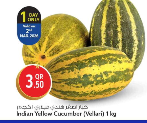 Cucumber from India available at سفاري هايبر ماركت in قطر - الوكرة