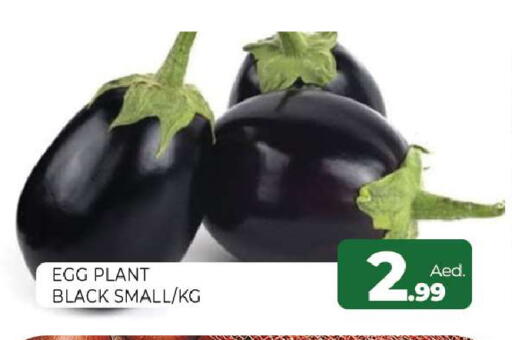 available at Al Madina  in UAE - Sharjah / Ajman