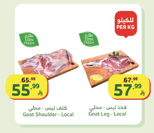 available at Al Raya in KSA, Saudi Arabia, Saudi - Tabuk