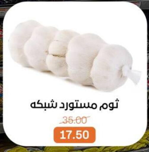 available at بيت الجملة in Egypt - القاهرة