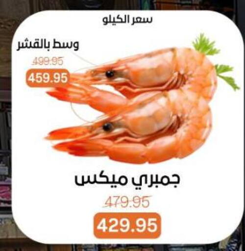 available at بيت الجملة in Egypt - القاهرة