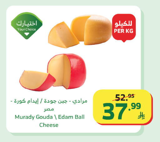 available at Al Raya in KSA, Saudi Arabia, Saudi - Najran