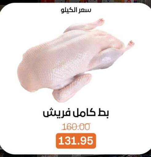 available at بيت الجملة in Egypt - القاهرة