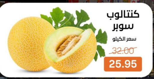available at بيت الجملة in Egypt - القاهرة