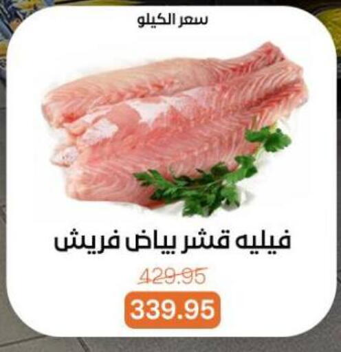 available at بيت الجملة in Egypt - القاهرة