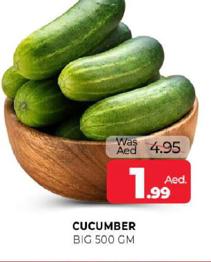 Cucumber available at Al Madina  in UAE - Sharjah / Ajman