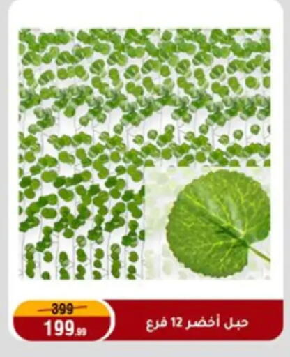 available at Al Morshedy  in Egypt - Cairo