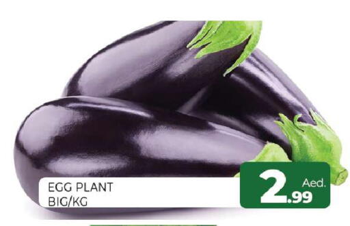 available at Al Madina  in UAE - Sharjah / Ajman