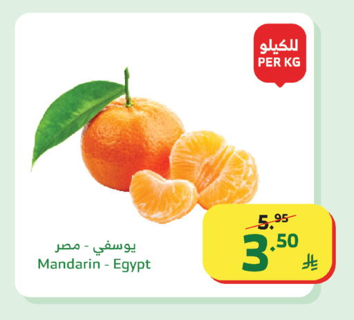 Mandarin from Egypt available at Al Raya in KSA, Saudi Arabia, Saudi - Bishah