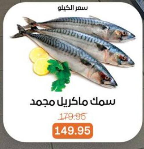 available at بيت الجملة in Egypt - القاهرة