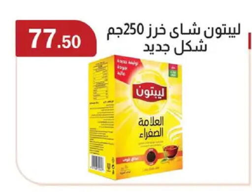 available at ابا ماركت in Egypt - القاهرة