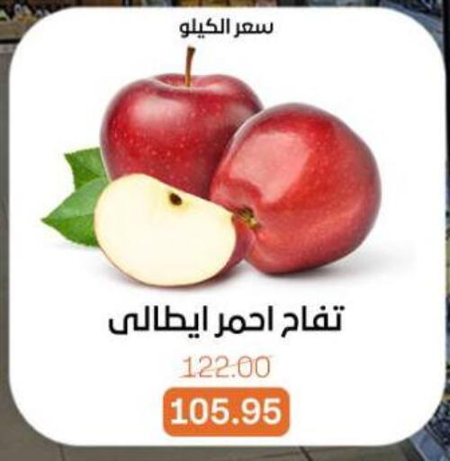 available at بيت الجملة in Egypt - القاهرة
