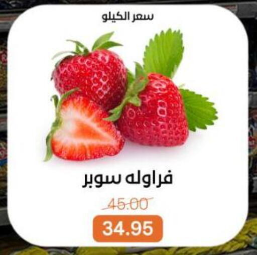 available at بيت الجملة in Egypt - القاهرة