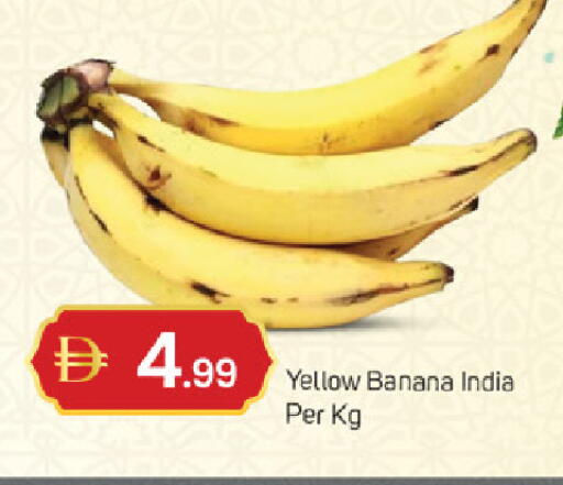 Banana from India available at سوق طلال in الإمارات العربية المتحدة , الامارات - ٱلْفُجَيْرَة‎