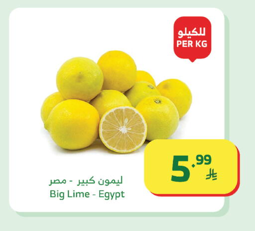 from Egypt available at Al Raya in KSA, Saudi Arabia, Saudi - Bishah