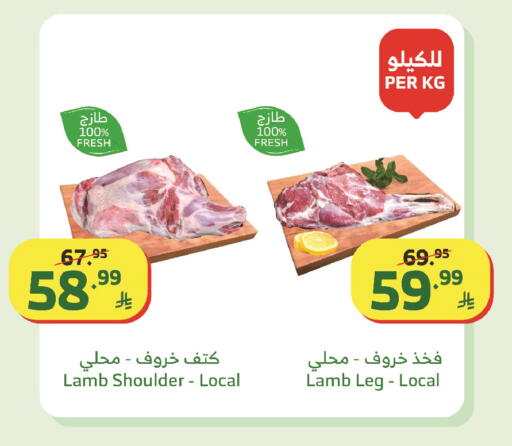 available at Al Raya in KSA, Saudi Arabia, Saudi - Tabuk