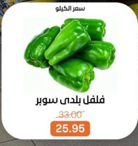available at بيت الجملة in Egypt - القاهرة