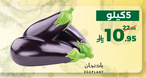 Eggplant available at ميرا مارت مول in مملكة العربية السعودية, السعودية, سعودية - جدة