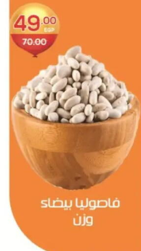 available at Zaher Dairy in Egypt - Cairo