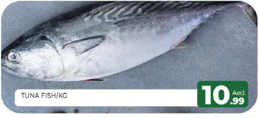 available at Al Madina  in UAE - Sharjah / Ajman