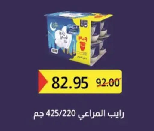 available at Zaher Dairy in Egypt - Cairo