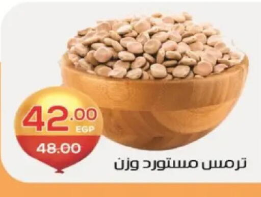 available at Zaher Dairy in Egypt - Cairo