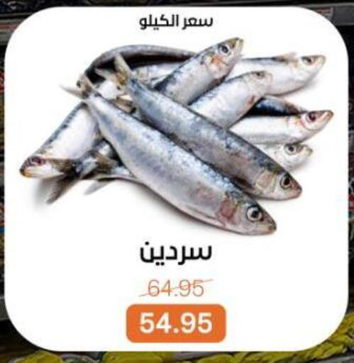 available at بيت الجملة in Egypt - القاهرة