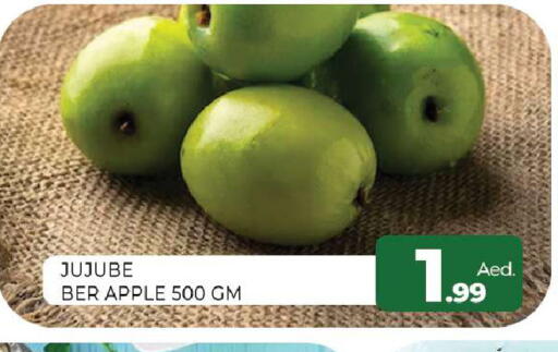 Jujube Apple available at Al Madina  in UAE - Sharjah / Ajman