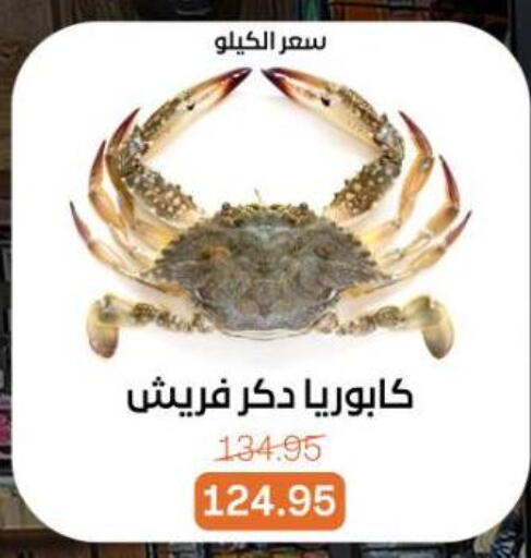 available at بيت الجملة in Egypt - القاهرة