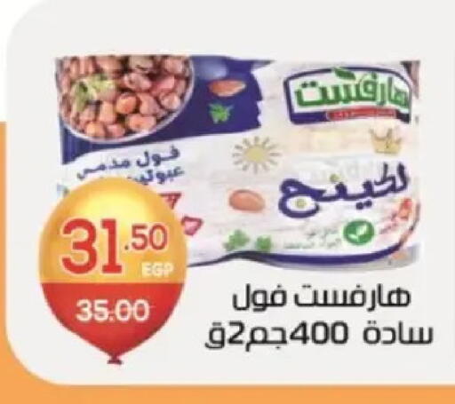 available at Zaher Dairy in Egypt - Cairo