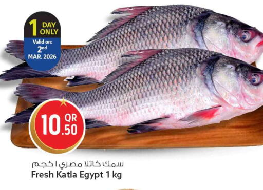 available at سفاري هايبر ماركت in قطر - أم صلال