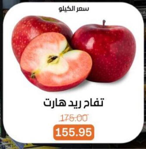 available at بيت الجملة in Egypt - القاهرة