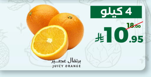 Orange available at ميرا مارت مول in مملكة العربية السعودية, السعودية, سعودية - جدة