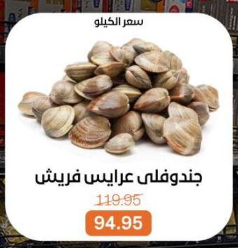 available at بيت الجملة in Egypt - القاهرة