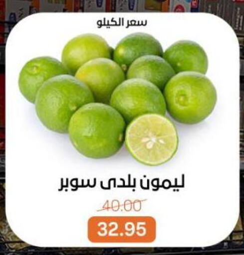 available at بيت الجملة in Egypt - القاهرة