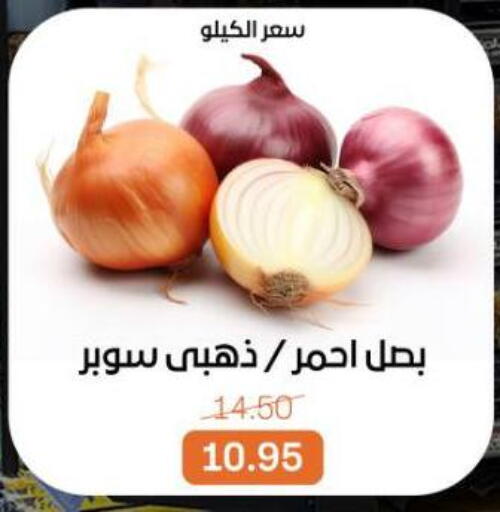 available at بيت الجملة in Egypt - القاهرة