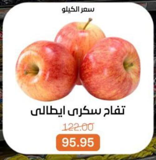 available at بيت الجملة in Egypt - القاهرة