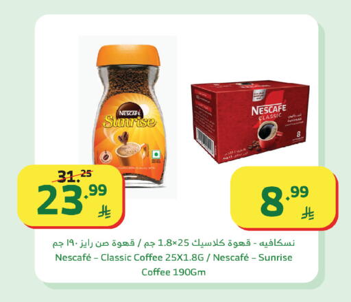 Chicory available at Al Raya in KSA, Saudi Arabia, Saudi - Jazan