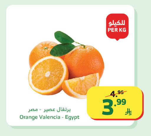 Orange from Egypt available at Al Raya in KSA, Saudi Arabia, Saudi - Bishah