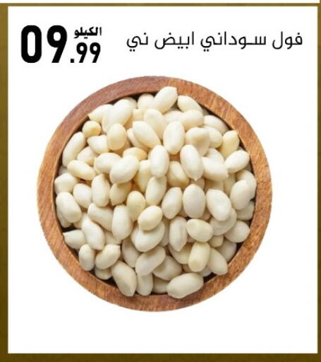 available at بن عفيف in مملكة العربية السعودية, السعودية, سعودية - المنطقة الشرقية
