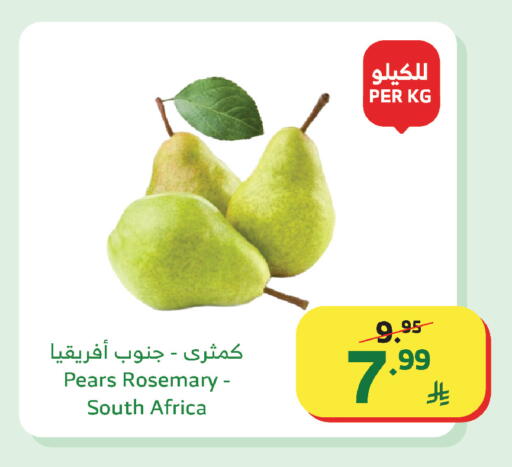 Rosemary from South Africa available at Al Raya in KSA, Saudi Arabia, Saudi - Bishah
