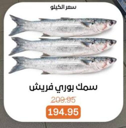 available at بيت الجملة in Egypt - القاهرة
