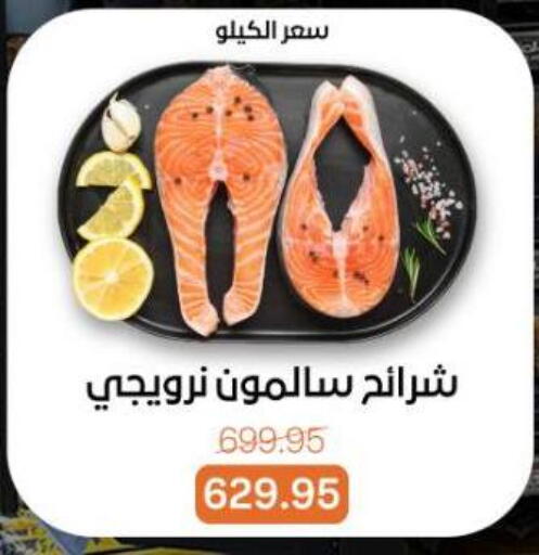 available at بيت الجملة in Egypt - القاهرة